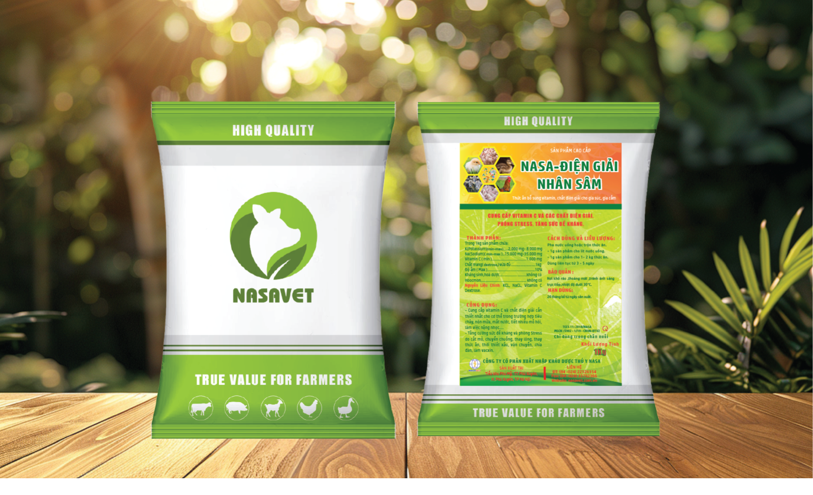 ĐIỆN GIẢI NHÂN SÂM