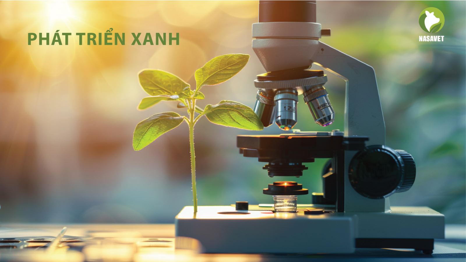 PHÁT TRIỂN XANH