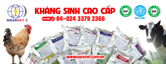 THUỐC KHÁNG SINH