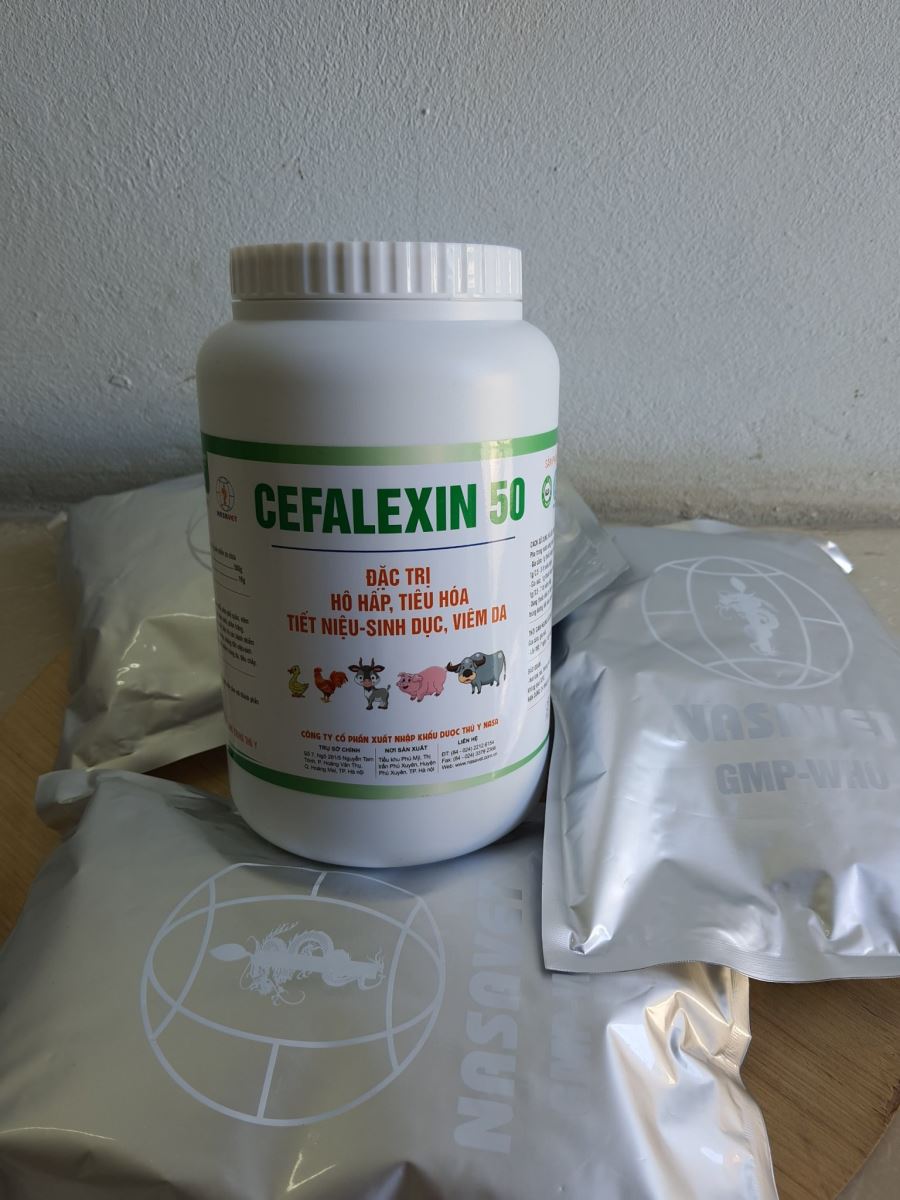 CEFALEXIN 50