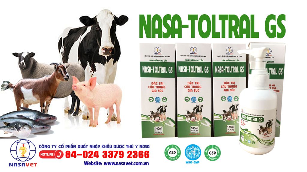 NASA-TOLTRAL GS