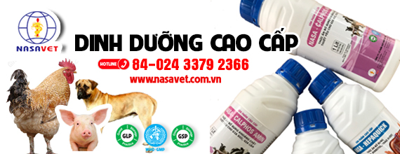 DINH DƯỠNG